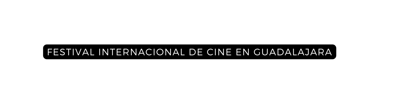 FESTIVAL INTERNACIONAL DE CINE EN GUADALAJARA